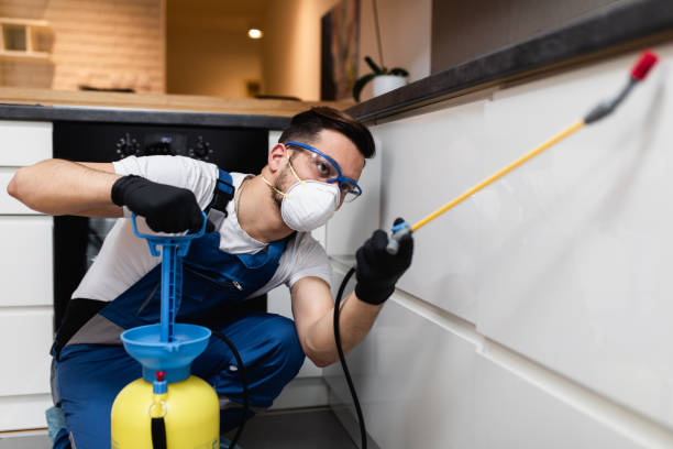 Trusted College Station, TX Pest Control Experts