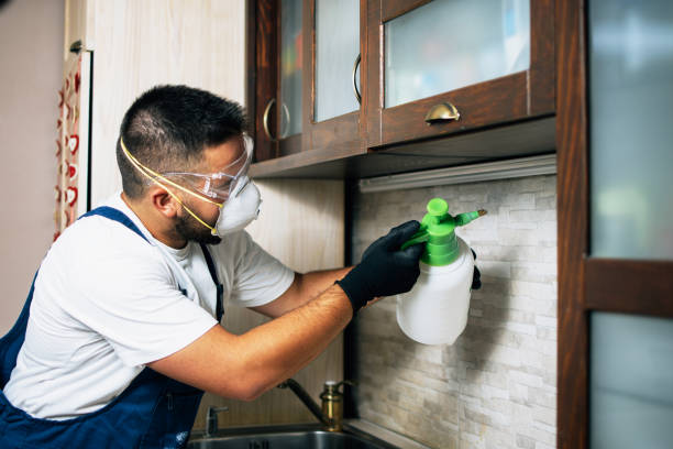 Best Best Pest Control Companies  in College Station, TX