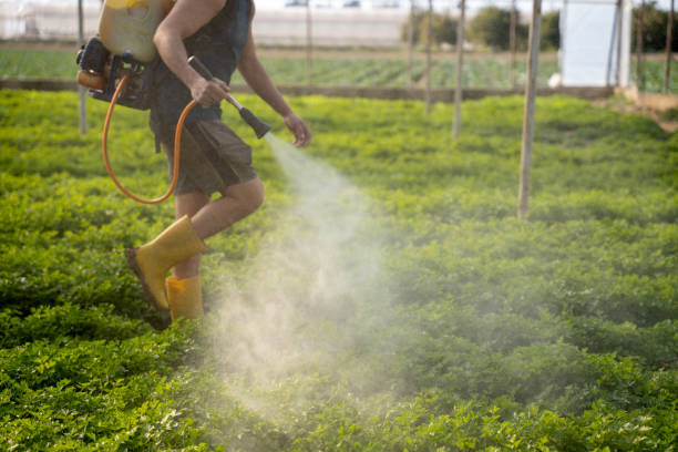 Best Pest Control Near Me  in College Station, TX