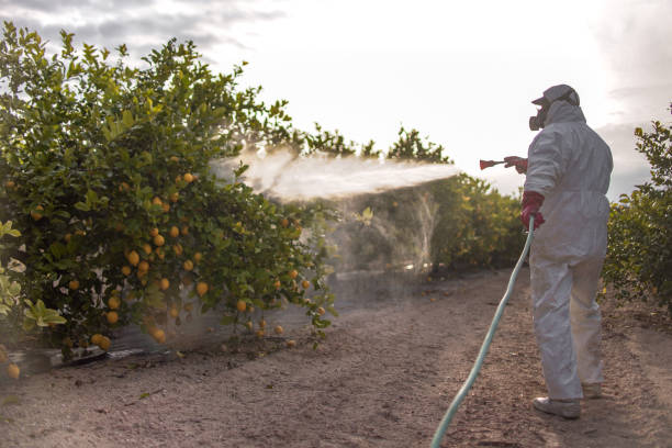 Best Pest Control Near Me  in College Station, TX