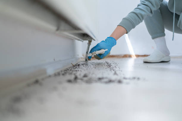 Best Rodent Control Near Me  in College Station, TX